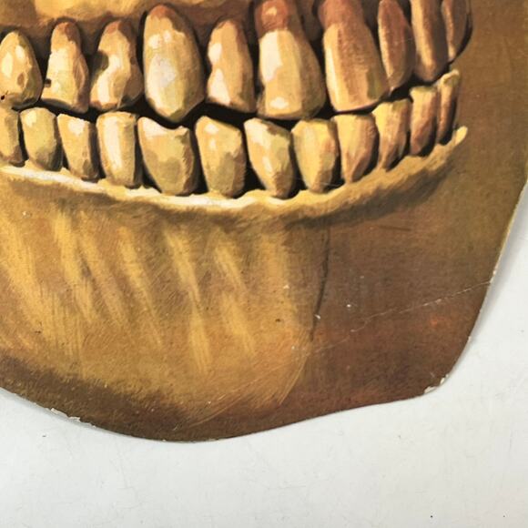 Vintage Halloween Skull Die Cut Decoration Bat Snake Frog 16"x13" Double Sided - Picture 8 of 13